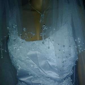 Beautiful wedding dress and veil